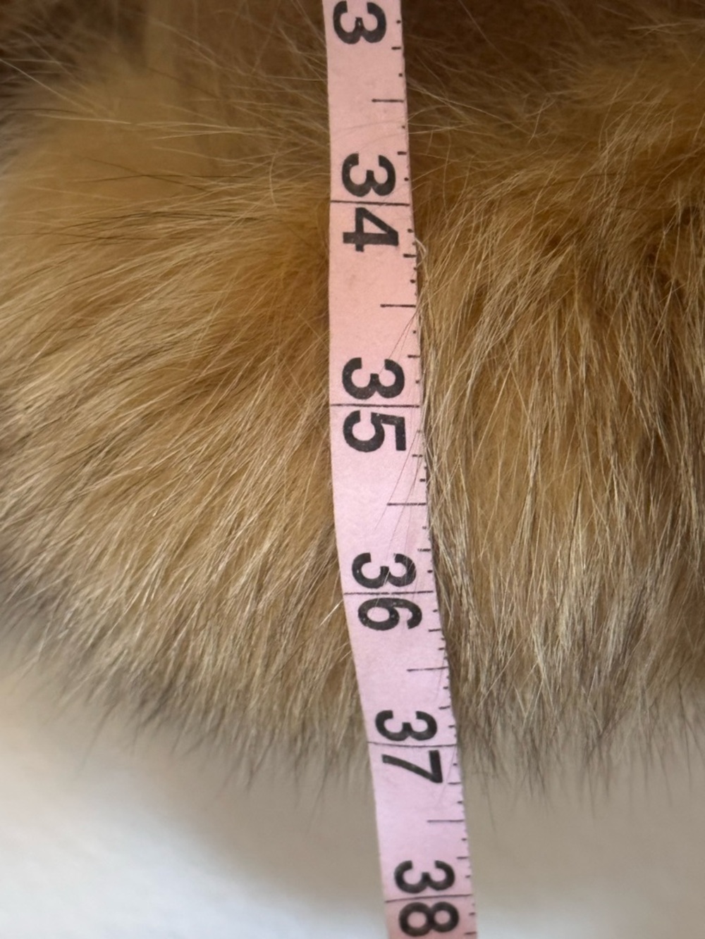 Lux Cashmere Fox Fur Trimmed Wrap Cape in Neutral Camel Italian Made FLAWS - Picture 6 of 10
